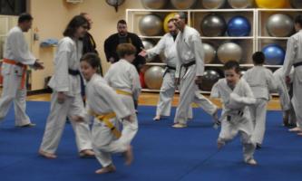 martial arts