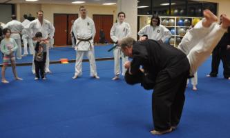 judo